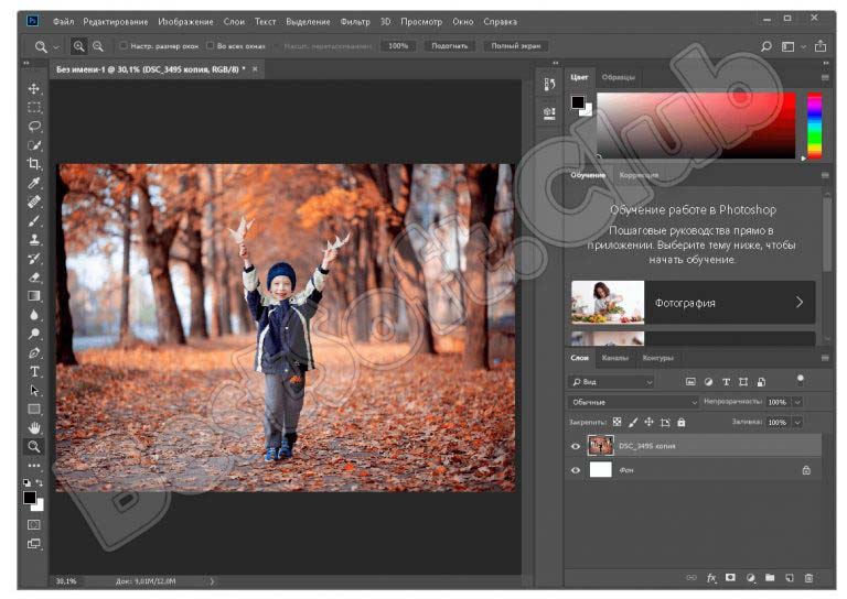 Adobe photoshop не торрент