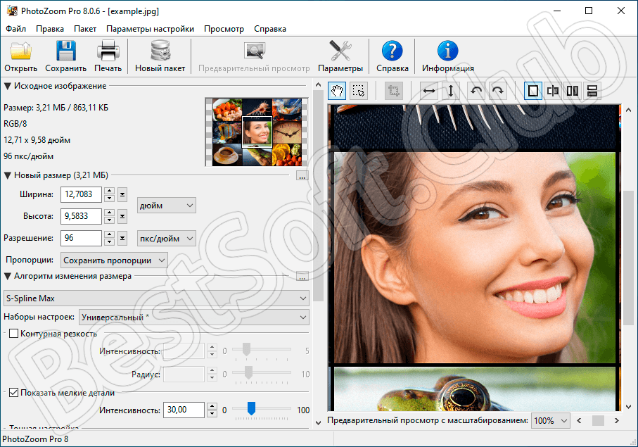 Пользовательский интерфейс Benvista PhotoZoom Pro